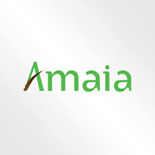 Own Your Next Home at an Amaia Land Property